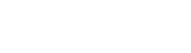 BotaNize Logo White